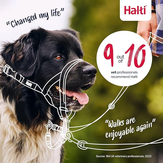 Halti Headcollar - Stop Your Dog Pulling on The Leash. Adjustable, Reflective and Lightweight, with Padded Nose Band. Dog Training Anti-Pull Collar for Medium Dogs (Size 2, Burnt Orange)