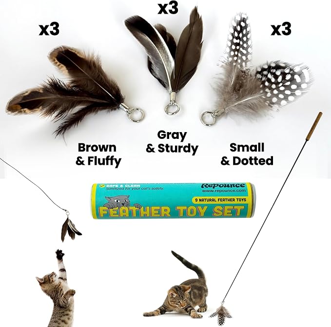 Forever Stick and 9 Cat Feather Toy Refills - The Unbreakable Cat Wand Toy, Durable Cat Toy Wand, Extra Long Cat String Toy, Cat Fishing Pole Toy for Bored Indoor Adult Cats, Cat Stick Toy - Image 6