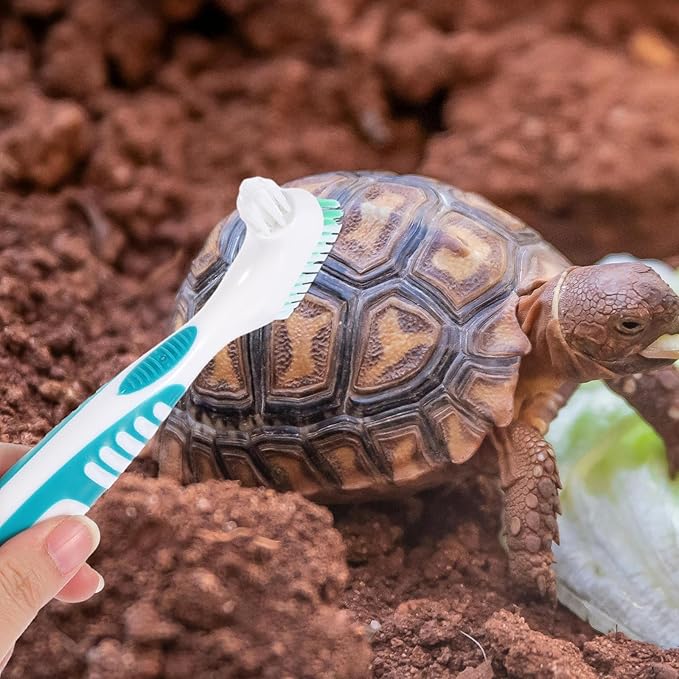 2pcs Turtle Shell Cleaning Brush Multi-Functional Mini Dirt and Mud Remover for Aquatic Tortoise Care with Ergonomic Handle for Turtle Tank and Reptile Health Maintenance