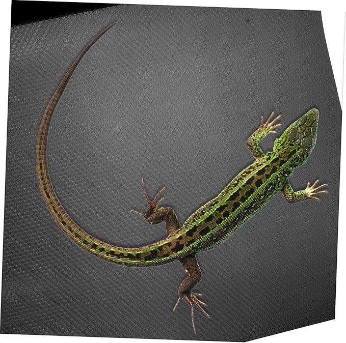 Reptile Carpet Mat for Bearded Dragon Leopard Gecko and Snake Sturdy Easy to Clean Non-Slip Substrate for Reptile Terrariums and Tanks