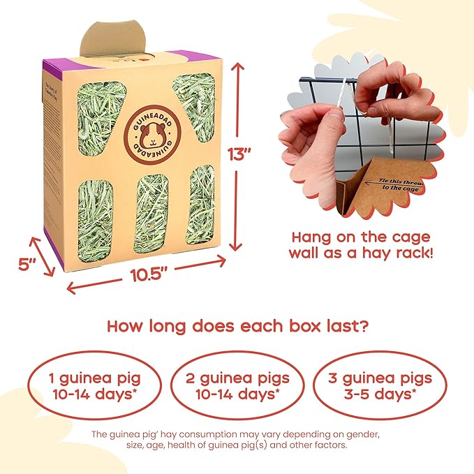 GuineaDad Orchard Hay Box – 3 Pack Guinea Pig Food – Cage-Mounted Feeding System – Orchard Hay for Guinea Pigs, Rabbits & Small Animals – 100% Recyclable & Biodegradable