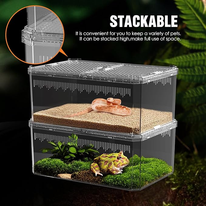 【No Assembly】 Breathable and Secure Reptile Tank with high Transparency - Ideal Container House for Hermit Crab, Tarantula Enclosure, Turtle Tank or Jumping Spider Habitat (M)