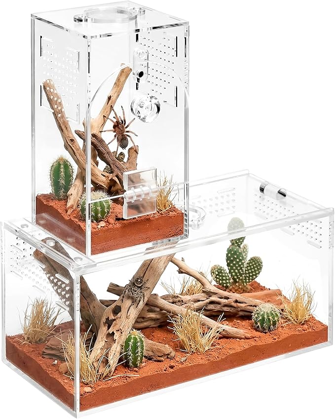 Acrylic Spider Enclosure 2 Pack, No Assembly Mixed Size Terrarium for Jumping Spider & Tarantula (M)