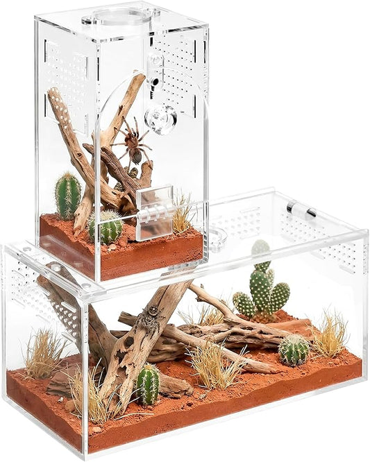 Acrylic Spider Enclosure 2 Pack, No Assembly Mixed Size Terrarium for Jumping Spider & Tarantula (M)
