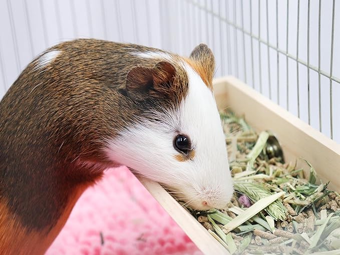 Guinea Pig Feeder Box, Wooden Small Animal Food Feeder, Hanging Rabbit Food Bowl, Small Animal Cage Accessories, Suitable for Rabbit Bunny Chinchilla Guinea Pig Hamster 11.8 × 4.3 × 2.4 Inches
