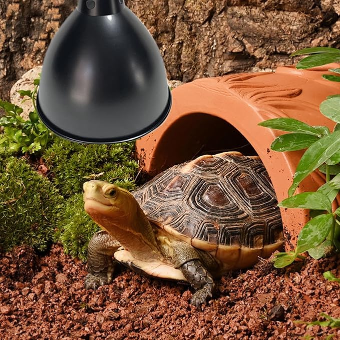 Terrarium Light Fixture - Reptile Heat Lamp Fixture with Deep Dome Design, UVB Bulb Reflector | Heat Bulbs Basking Lamp Holder, Optical Reflection Cover for Lizards, Turtles, and Amphibians