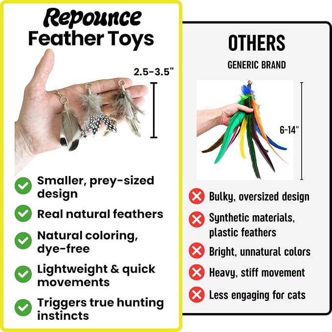 Forever Stick and 9 Cat Feather Toy Refills - The Unbreakable Cat Wand Toy, Durable Cat Toy Wand, Extra Long Cat String Toy, Cat Fishing Pole Toy for Bored Indoor Adult Cats, Cat Stick Toy - Image 4