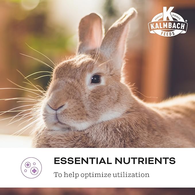 Kalmbach Feeds Belly Booster Premium Probiotics for Rabbits, 2 lb Bag