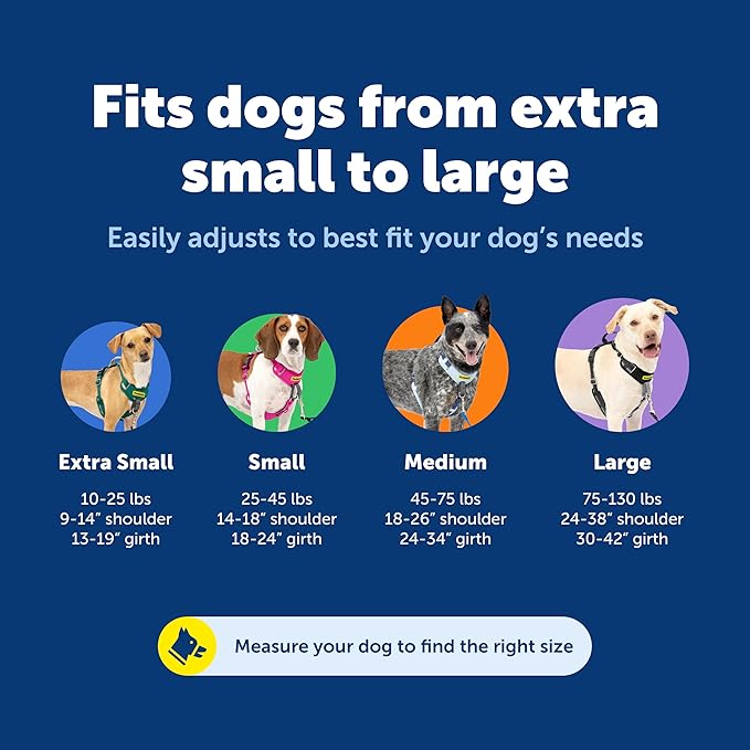 PetSafe Easy Walk Comfort No-Pull Dog Harness - Better Walk Training Harness - Full Body Padded Design - Durable Fabric - 5 Point Adjustable Fit - Everyday Leash Training - Blue - Small/Medium