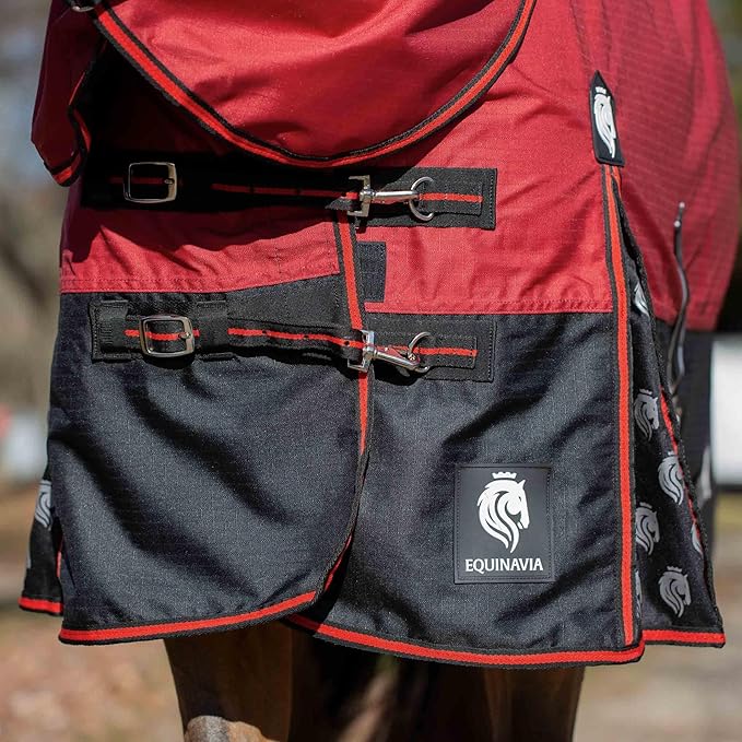 Equinavia Norse Lightweight 100g Fill Horse Rain Blanket | Waterproof Turnout Sheet - Black - 66 in - Equestrian Red - 78 in