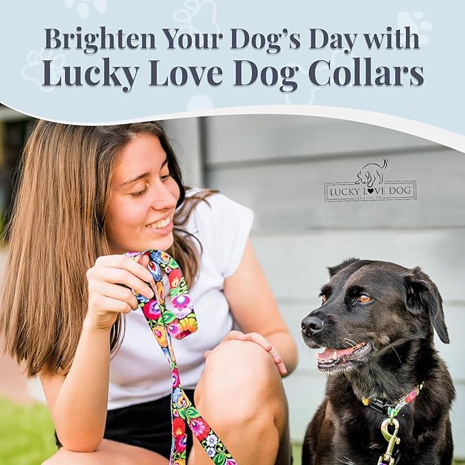Lucky Love Dog - Adjustable Dog Collar with Easy Click Buckle for Large Ones, Durable, & Comfortable for Male & Female Dogs, Pet Collar for Puppies & Adult Dogs - Blackbird, Extra Large