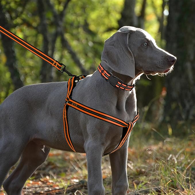 Mile High Life Night Reflective Double Adjustable Band Nylon Small Puppy Pet Dog Combo Collar Leash and Harness Set (Reflective Stripe Orange, Mediun (Pack of 3))