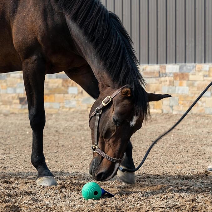 PetKORE: KoreFlex Ball & Tail - Horse-Equine Toy, 4.75" Green Ball, Shape Maintaining Rubber, Durable Strap, Treat Stuffing Center, Toss-Bounce-Play