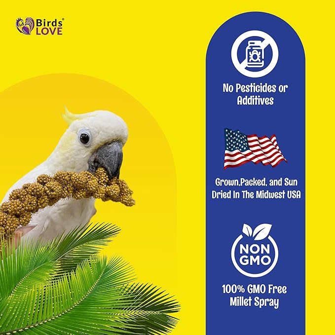 25lbs Economy & Special Spray Millet for Birds – GMO-Free, No Stems (Only Edible Tops) – 100% Natural Sun-Dried Foraging Treat for Cockatiels, Lovebirds, Parakeets, Finches & Canaries