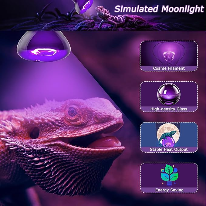 Reptile Moonlight Bulb 60W