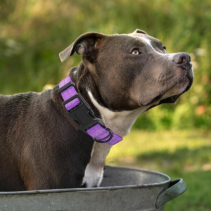Mile High Life Night Reflective Double Adjustable Band Nylon Small Puppy Pet Dog Combo Collar Leash and Harness Set (Reflective Solid Purple, Large (Pack of 3))