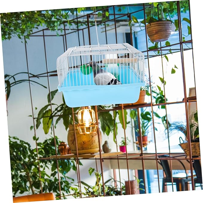 Parrot Travel Cage: Small Animal Cage with Wood Perch and Food Box Portable Bird Carrier with Water Dispenser for Parakeets and Lovebirds