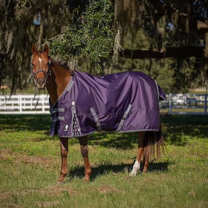 Equinavia Norse 200g Medium Weight Horse Blanket | Waterproof Winter Turnout - Black - 66 in - Grape Purple - 69 in