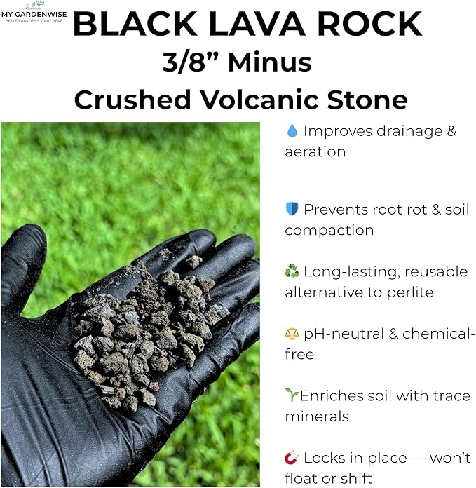 GARDENWISE Lava Rocks for Plants (3/8’’ Minus), Natural Black Lava Rocks, Succulent & Terrarium Horticultural Volcanic Rock, Ideal Drainage for Potted Plants, Made in USA (3 qts - 4.8 lbs)