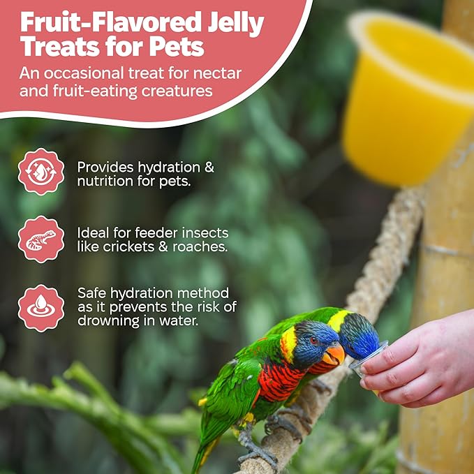 Snout and Shell Beetle Jelly for Exotic Pets – Nutrient-Rich Feeding Gel for Beetles, Insects, and Small Reptiles – Easy to Use, Mess-Free - Banana