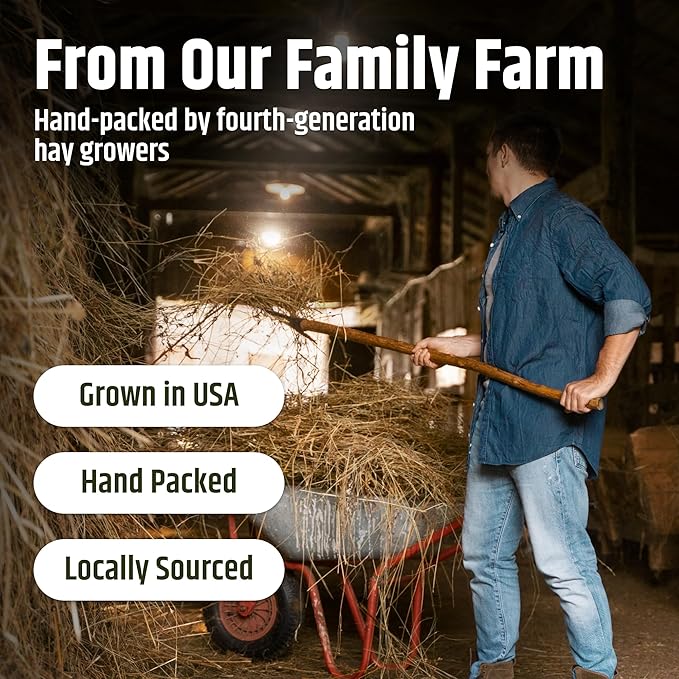 High Desert Alfalfa Hay, Protein Rich Soft Leaf Food for Young Growing Animals, Natural Rabbit Food and Guinea Pig Hay, Supports Digestive Health, Small Pet Supplies, Fresh Hand Packed 10 Lb Box