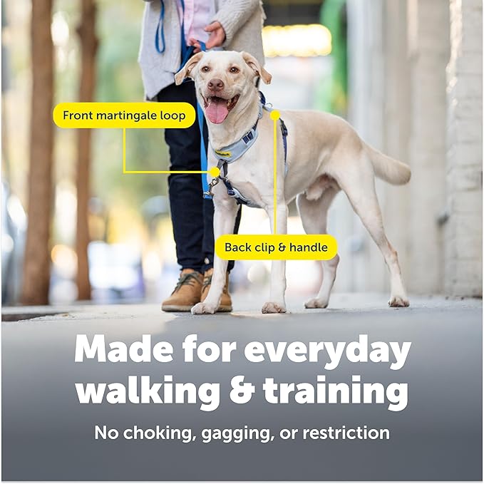 PetSafe Easy Walk Comfort No-Pull Dog Harness - Better Walk Training Harness - Full Body Padded Design - Durable Fabric - 5 Point Adjustable Fit - Everyday Leash Training - Black - X-Small