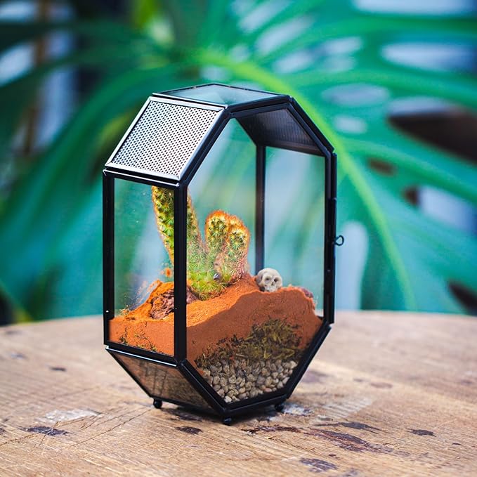 NCYP Mini Vented Glass Terrarium with Vent and Door for Jumping Spiders - Octagon Small Spider Enclosure, Black, Tabletop Decor, 5 x 2.3 x 7 Inches (Terrarium Only)