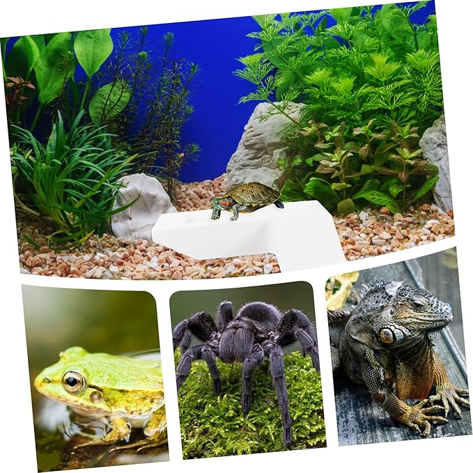 Kisangel Turtle Basking Platform Ramp Medium Aquatic Turtle Terrace for Tank Habitat Accessory Promoting Sunlight Easy Installation