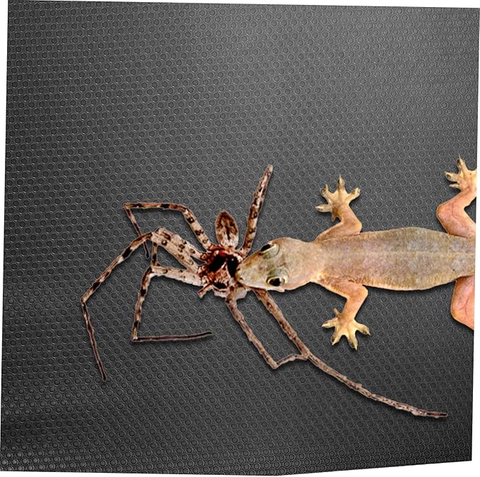 Reptile Carpet Mat for Bearded Dragon Leopard Gecko and Snake Sturdy Easy to Clean Non-Slip Substrate for Reptile Terrariums and Tanks