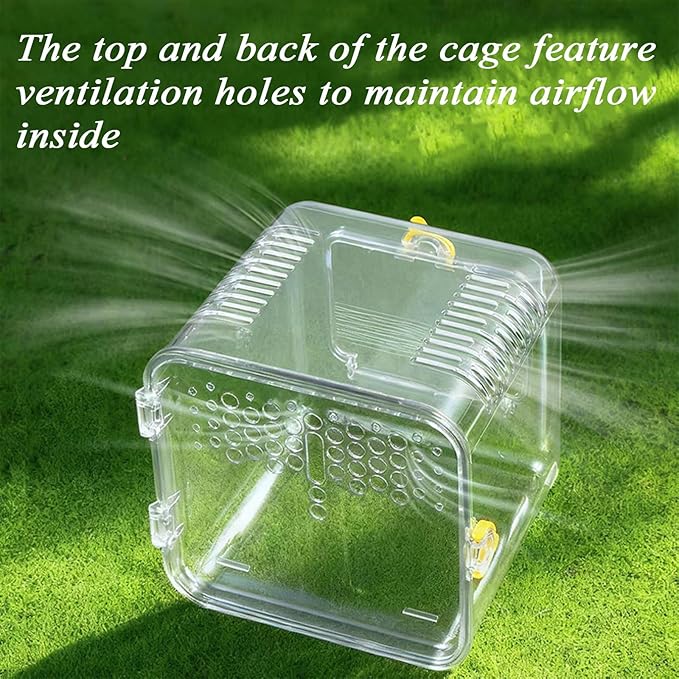Portable Travel Bird Cage - Transparent Parrot Cage Equipped with a Water Bottle, Suitable for Veterinary Checkups, Short Trips, Canaries, Cockatiels, and Small Bird Species