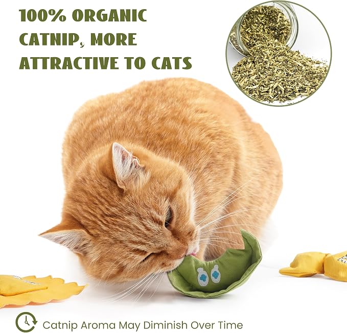 Pawsible 3 Pack Ravioli Catnip Toys for Indoor Cats, Interactive Cat Toys Filled with 100% Organic Catnip, Plush Chew Toys for Kittens, Teething Soft Catnip Toys for Cats - Image 5