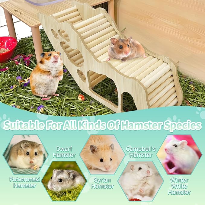 PINVNBY Hamster Climbing Ladder and Tunnel Hideout Wooden Hamster Climbing Toy Cage Decor Accessories for Gerbil Mice or Other Small Animals (Maze Tunnel)
