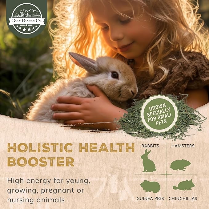 20lb Farm Fresh Alfalfa Hay for Rabbits, Guinea Pigs, Chinchillas, Goats, Hamsters & Ferrets - Organic Small Animal Food Rich in Protein & Fiber - Fresh Dried, Hand-Selected, USA Grown