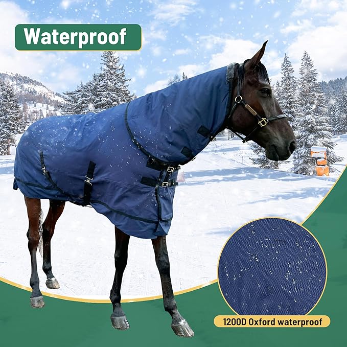 Horse Turnout Blanket | Medium Weight Horse Blanket with 1200D 250g Cotton Filling | Detachable Neck Cover & Belly Wrap (72in/135cm)