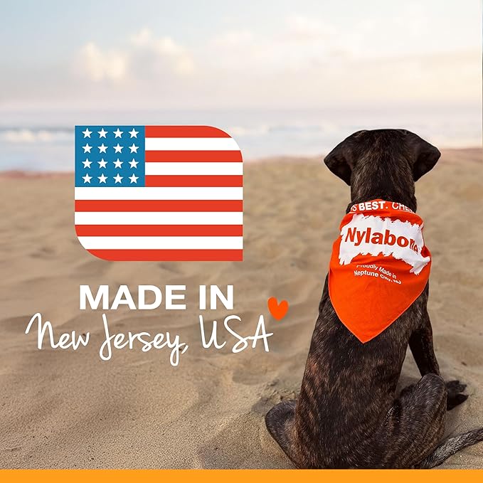 Nylabone Nubz Natural Dog Chews, Peanut Butter Flavor Treats for Large Dogs, Long Lasting Dog Chew Bones Made in the USA, Rawhide Free, for Dogs Over 30 lbs. (18 Count)