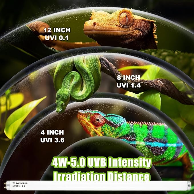 T5 HO UVB 5.0 Reptile Replacement Tube, 4W 6 in Linear Fluorescent Lamp, for Rainforest Reptiles