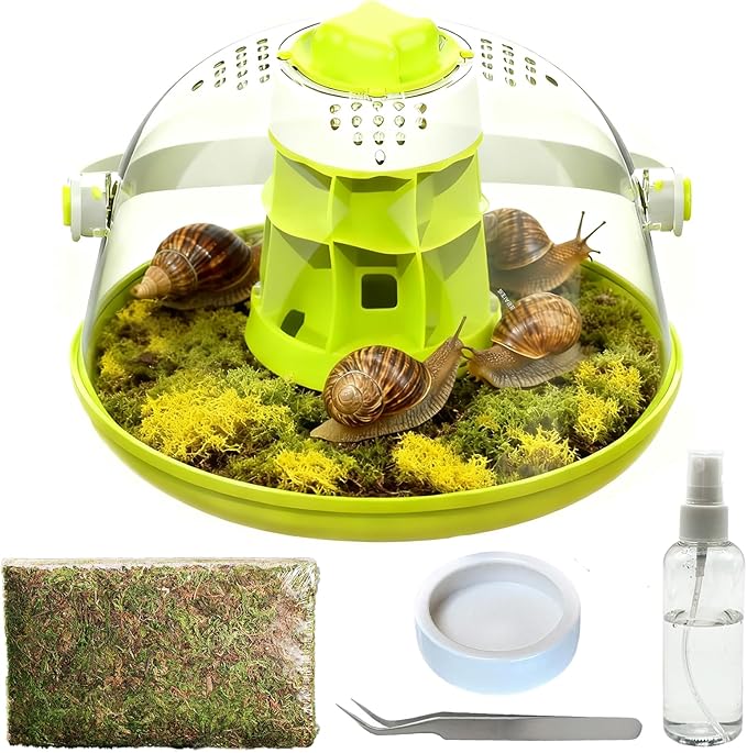 Snail Terrarium Kit Insect Enclosure Bug Terrarium Observation Container Praying Mantis Habitat Breeding Box Micro Habitat Starter Kit for Beetles Spider Small Reptile