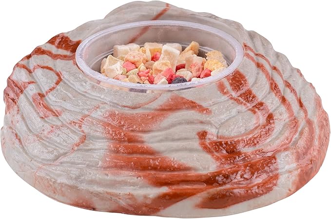 Healthy Herp Tortoise Food Instant Meal for Reptiles - Nutritious Turtle Food, Tortoise Habitat Accessories - Made in USA - for Box Turtles, Lizards, Tortoises - Variety Pack (14 Cups & 1 Dish)