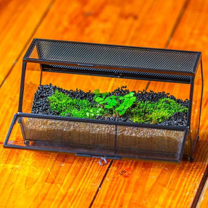 NCYP Small Glass Terrarium Enclosure with Mesh & Door for Tiny Beetle, Jumping Spiders, Hexagon Vented Glass Terrarium 6.8'' x 4.1'' x 3.6'', Indoor Decor, Black (Plants Not Include)