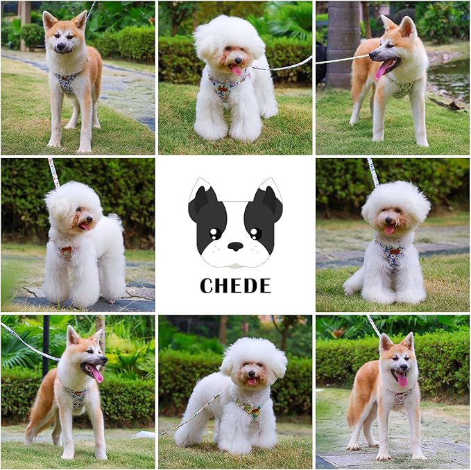 CHEDE No Pull Floral Pattern Dog Harness- Lightweight, Soft, Adjustable Small Harness and Leash Set, Suitable for Puppy Small and Medium-Sized Dog (XS, Pink Daisy)