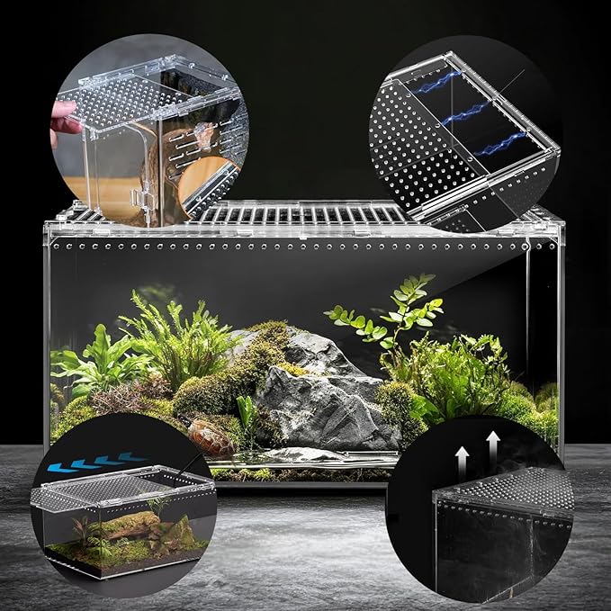 Insect breeding Box Reptile Feeding Box, Waterproof Enclosure Enclosure for arboreal Tarantula Scorpion Sling Lizards Snake Gecko Jumping Spider Snail Isopods, Reptile breeding Box (8x6x4 Inch) ???
