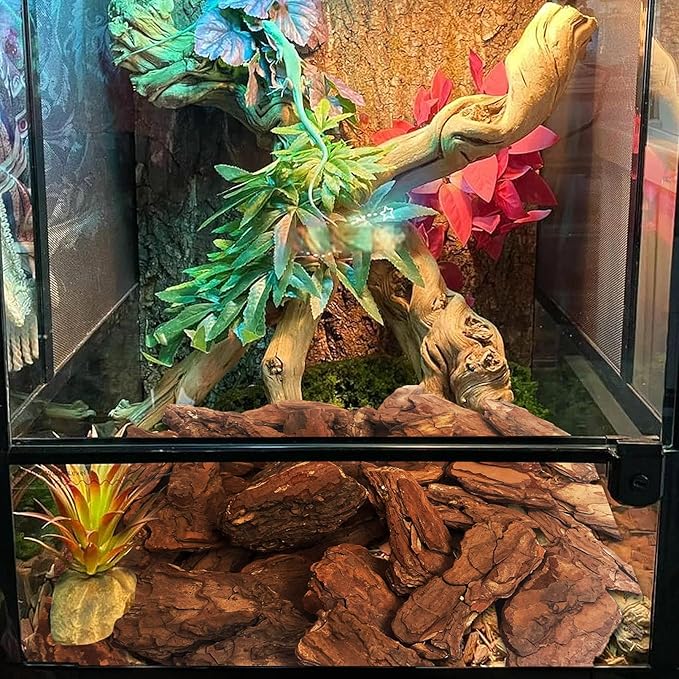 Hamiledyi Reptile Bark Bedding 22.9oz Tortoise Habitat Bedding Natural Wood Chips Terrarium Substrate Bearded Dragon Tank Accessories for Snake Box Turtle Gecko Hermit Crabs Pack of 2 (Large)