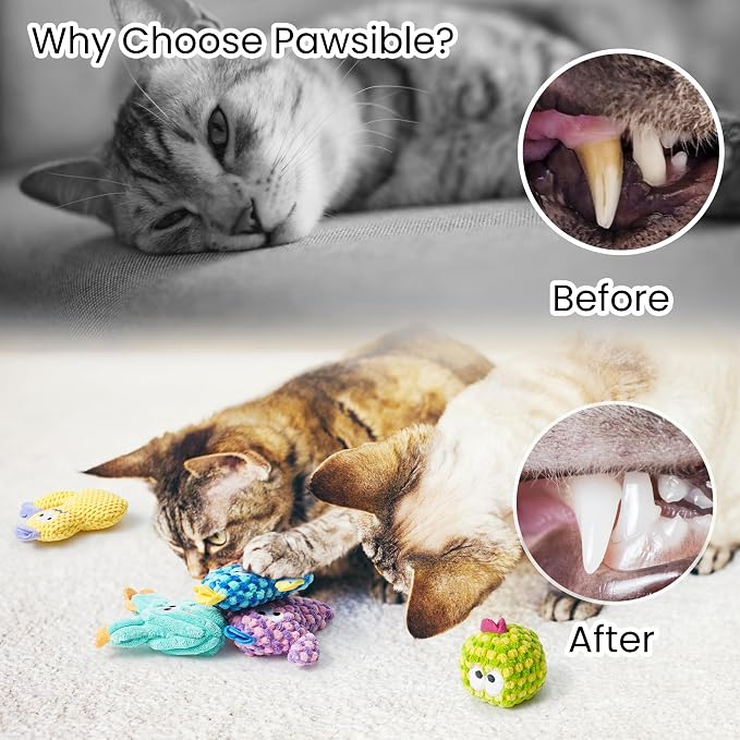 5 Pack Cactus Catnip Toys, 100% Organic Catnip Toys for Indoor Cats, Interactive Plush Chew Fun Without Cotton, Teething Soft Kittens Toys for Kitty, Colorful - Image 6