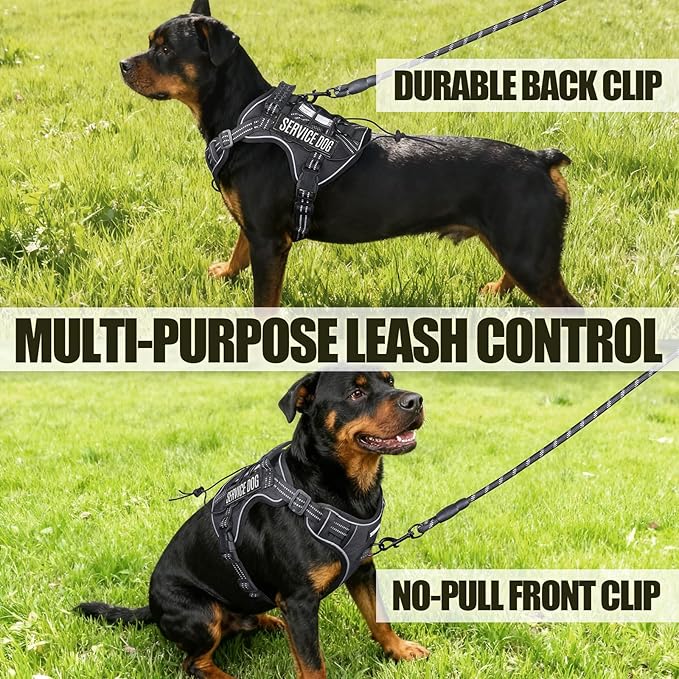 Service Dog Tactical Vest Harness and Leash Set Medium Sized Dog Emotional Support- Tactical Dog Harness Training Collar with Name (Black, S)