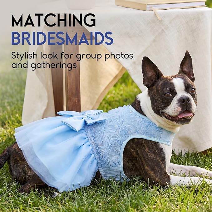 ASENKU Dog Dress Pet Wedding Dress Princess Lace Puppy Birthday Party Outfit Formal Apparel Girl for Small Medium Dogs Cats (XL, Blue)