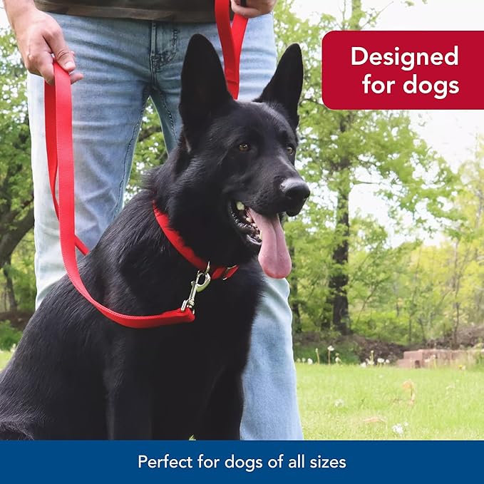 Coastal Pet Double-Ply Dog Leash - Bolt Snap Attachment to Collars and Harnesses - Nylon Dog Walking Leash for Small, Medium and Large Dogs - Blue - 1" x 4'