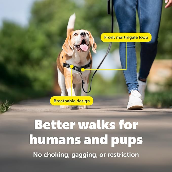 PetSafe Easy Walk No-Pull Dog Harness - The Ultimate Harness to Help Stop Pulling - Take Control & Teach Better Leash Manners - Helps Prevent Pets Pulling on Walks, Small/Medium, Red/Black