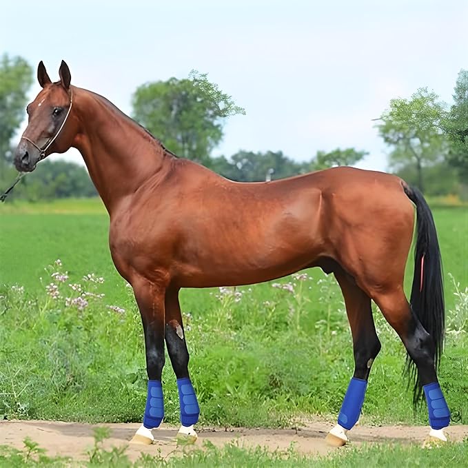 Medicine Horse Boots Splint Boots for Horses Protective Lower Limb Brushing Boots Front Hind Leg Protection Gear Set of 4 (Blue, Large)