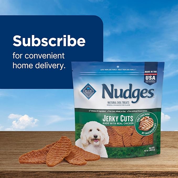 Blue Buffalo Nudges Jerky Bites Dog Treats, Made in the USA with Natural Ingredients, Bite-Sized Pieces, Chicken, 16-oz Bag, (Pack of 4)