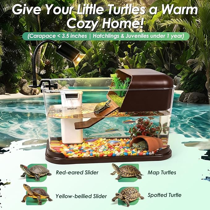 Turtle Tank Starter Kit, PC Turtle Tank Aquarium with Basking Platform, UVB Lamp, Filter, Plants, Feeding Ring - Habitat for Baby Turtles